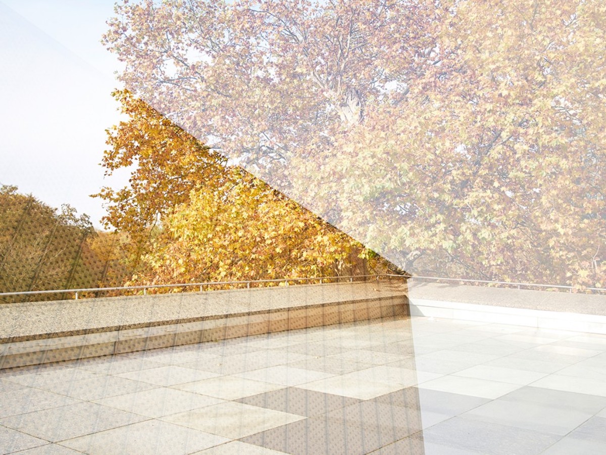 Herbst in Berlin_Image 01 Herbst in Berlin yellow leaves Photography