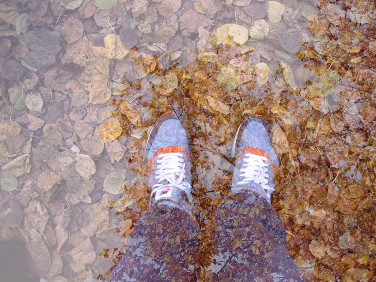 Herbst in Berlin_Image 11 herbst in berlin brown leaves shoes