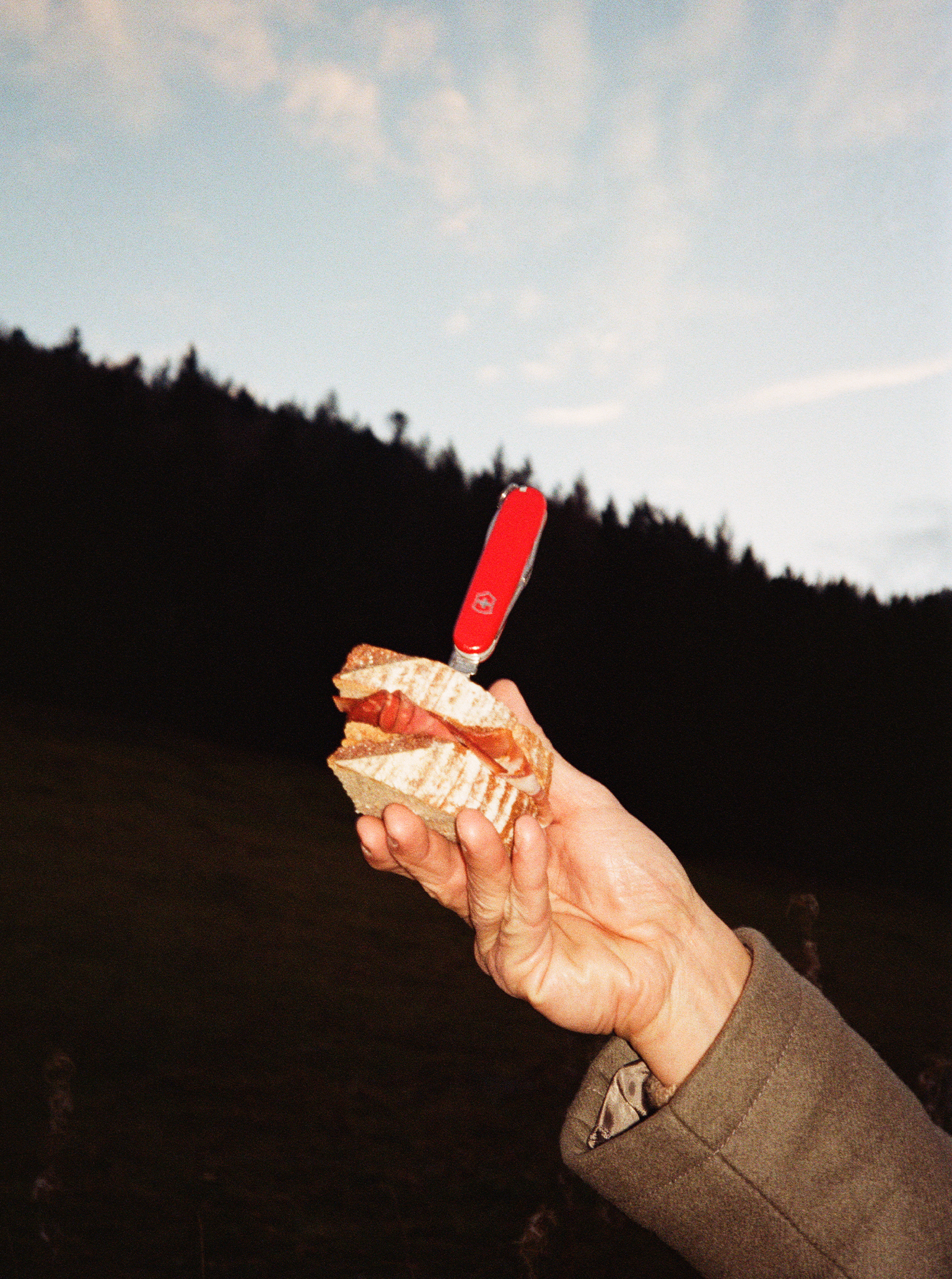Hiking Part 2 Brotzeit im Schwarzwald beim Wandern Polaroid Wanderung SChwarzwald Victorinox Messer Schinkenbrot