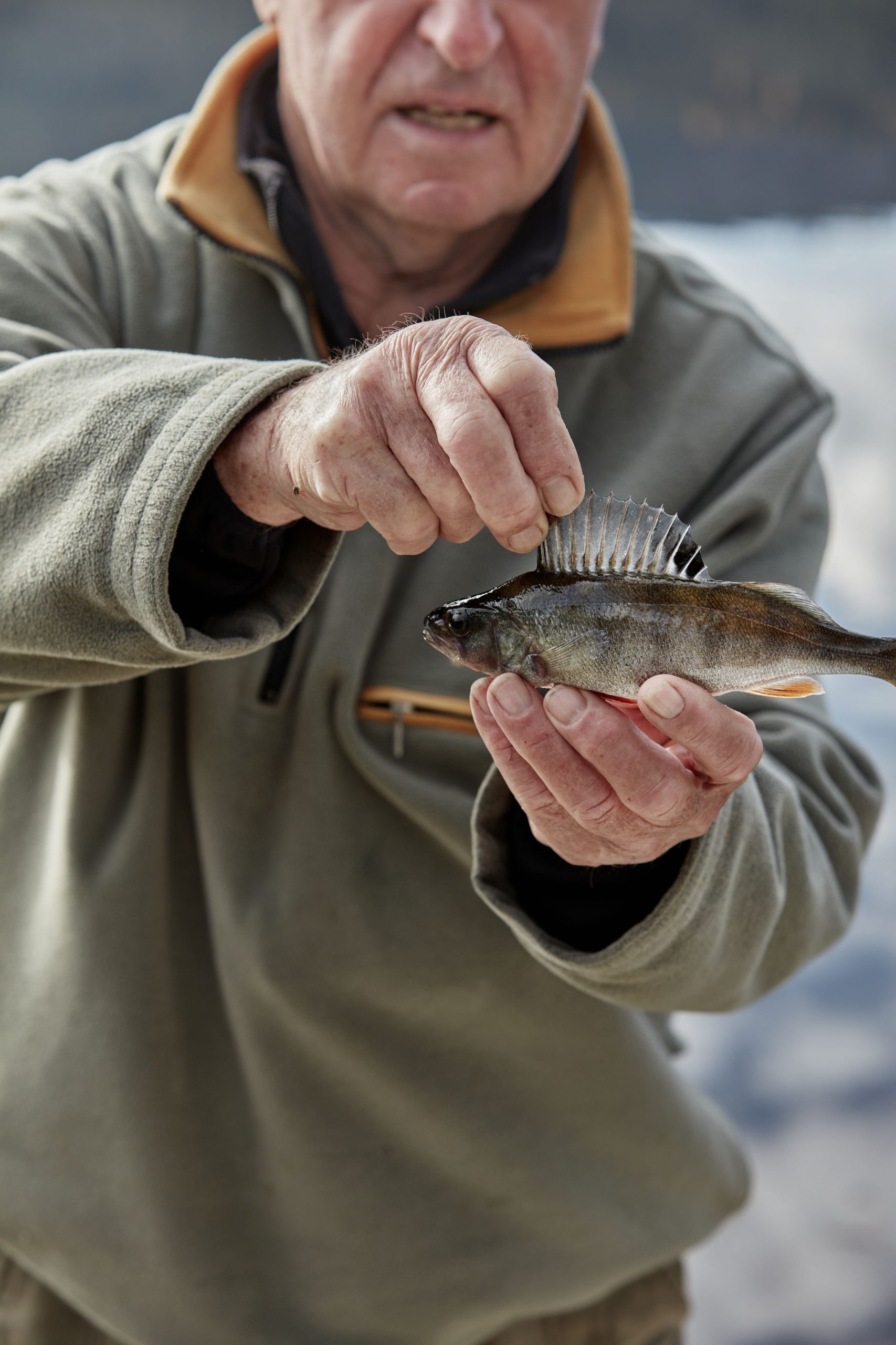 20201111_Achtung_Fish1653