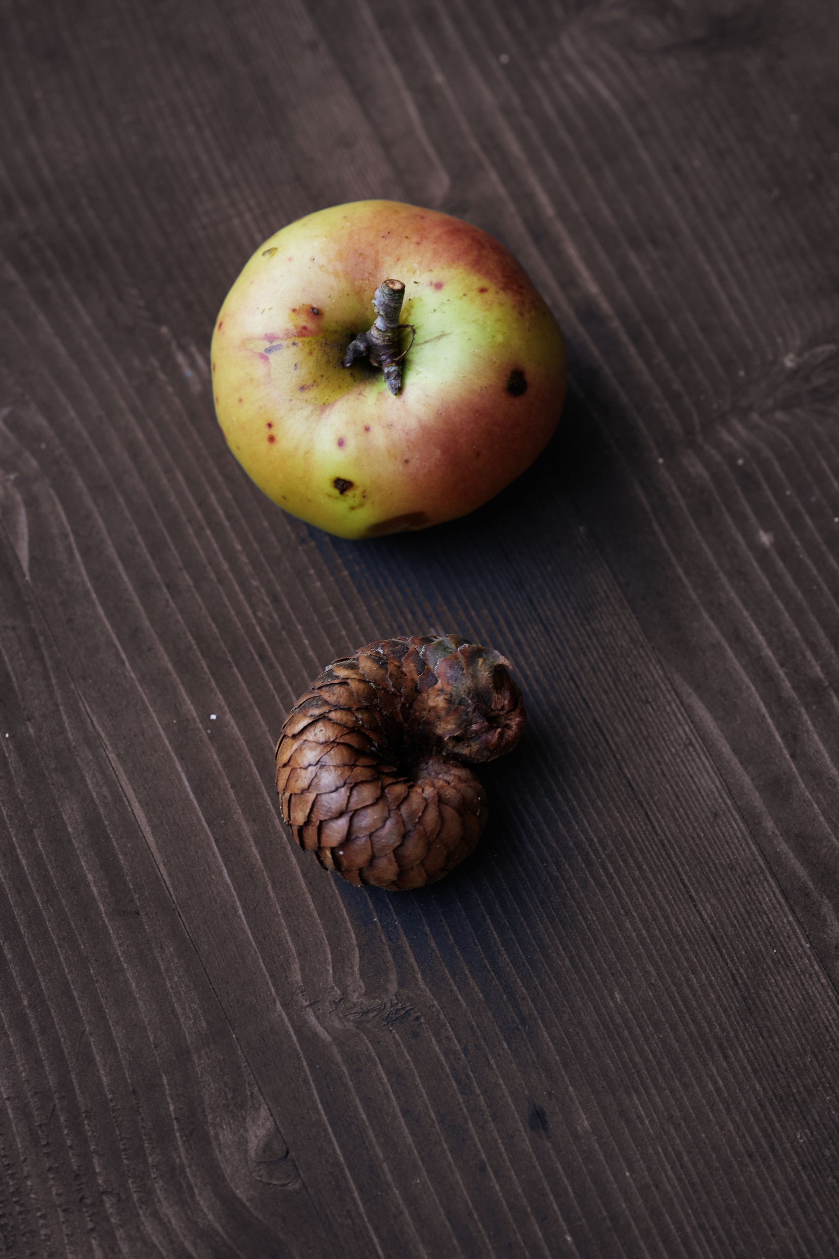 Gesichter vom Schwarzwald Apfel und Zapfen