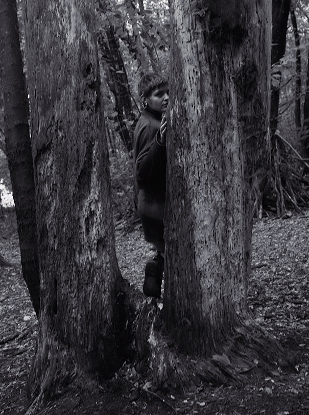 Forest-6