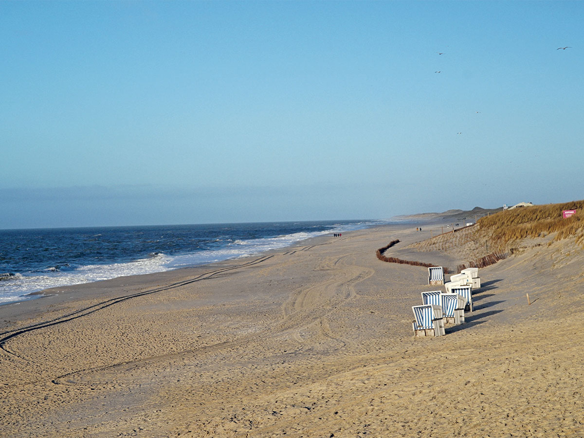 Strand13