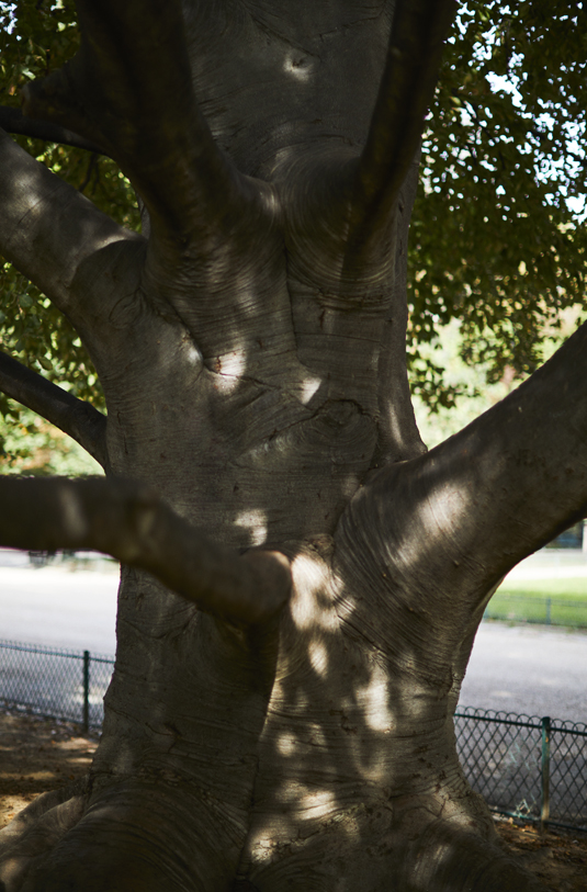 231004_Hechter_m1_017_v1