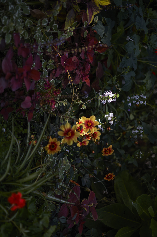 231004_Hechter_m1_100_v1