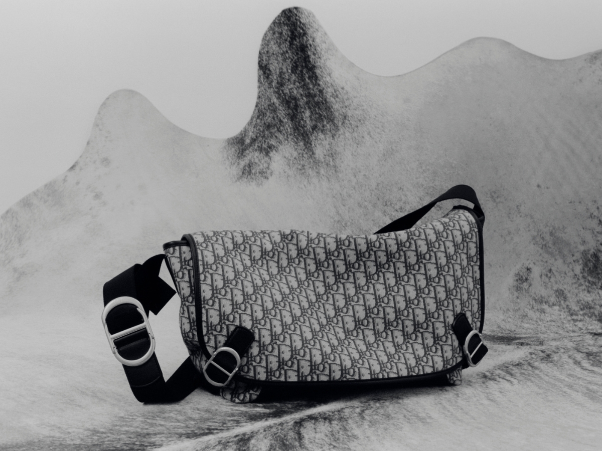 Dior bag
