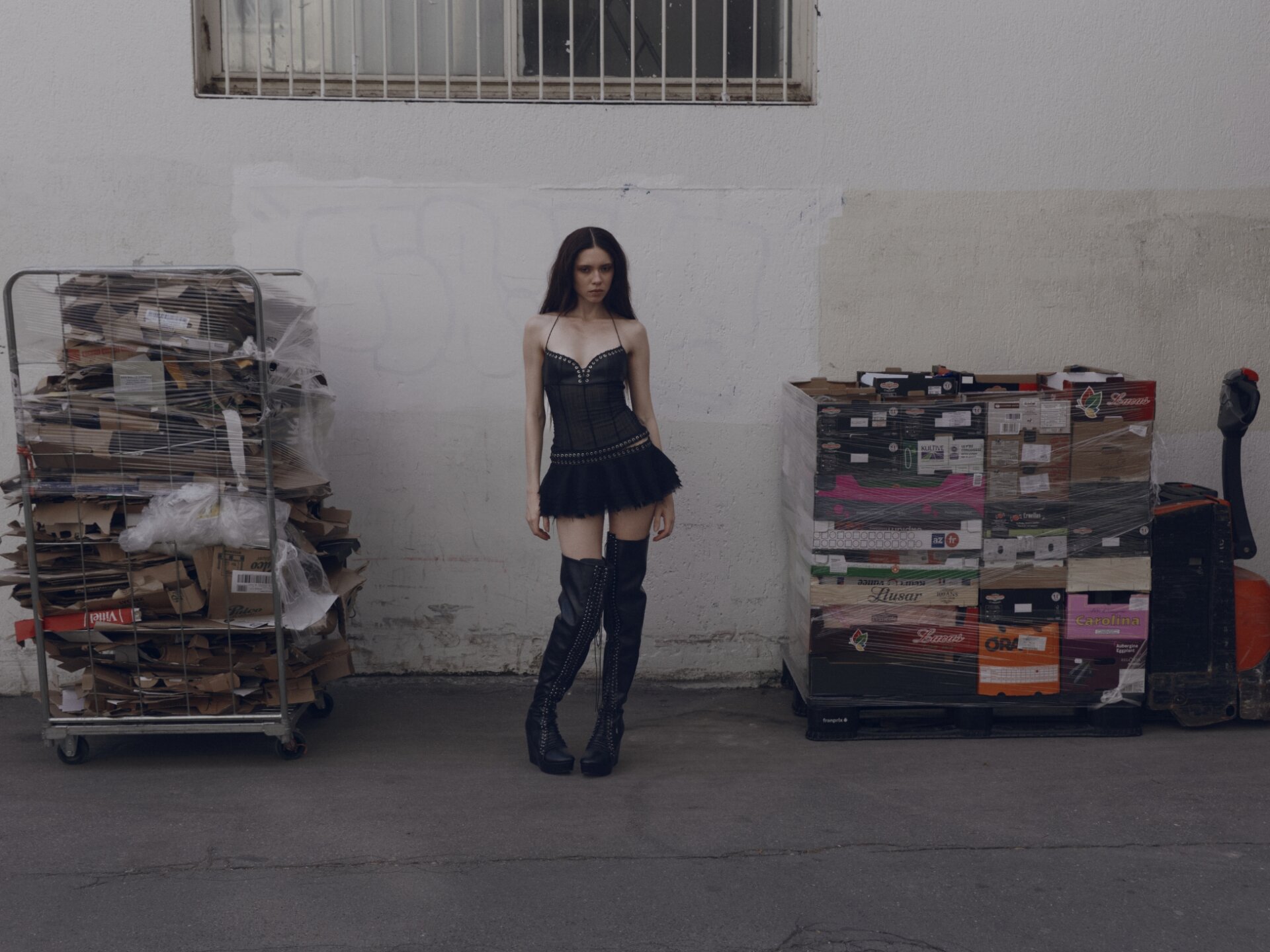 Model wearing Dress LUDOVIC DE SAINT SERNIN; Shoes LARUICCI